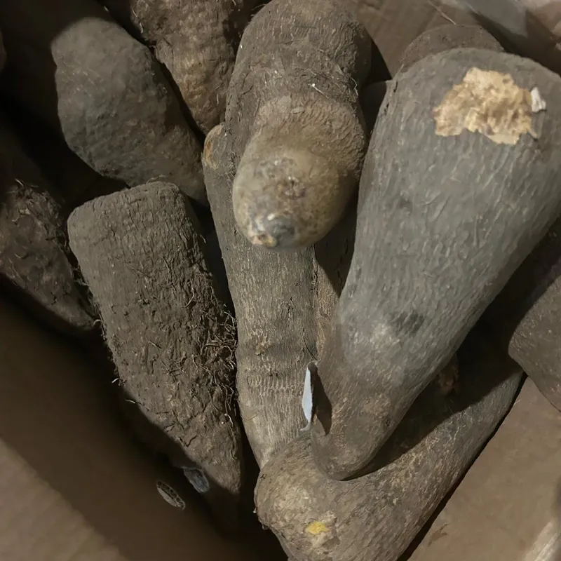Whole puna yam tubers in a box